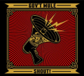 Gov't Mule - SHOUT! -LTD-