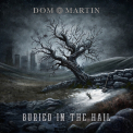 Martin,  Dom - Buried In the Hail