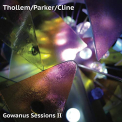 THOLLEM/PARKER/CLINE - GOWANUS SESSIONS 2