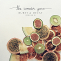 Wonder Years - Burst & Decay (Volume II) (White Vinyl)